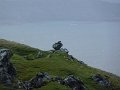 20110526_storr_michi_53